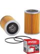 Ryco Oil Filter R2058P + Service Stickers