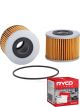 Ryco Oil Filter R2070P + Service Stickers