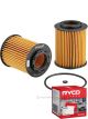 Ryco Oil Filter R2623P + Service Stickers