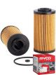 Ryco Oil Filter R2655P + Service Stickers