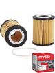 Ryco Oil Filter R2667P + Service Stickers