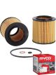 Ryco Oil Filter R2673P + Service Stickers