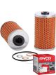 Ryco Oil Filter R2676P + Service Stickers