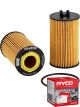Ryco Oil Filter R2694P + Service Stickers