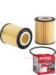 Ryco Oil Filter R2729P + Service Stickers