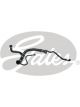 Gates Radiator Hose