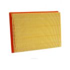 Ryco Air Filter