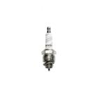 Denso Spark Plug