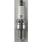 NGK Spark Plug