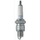 NGK Spark Plug