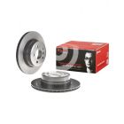 Brembo Disc Brake Rotor (Single) 320mm