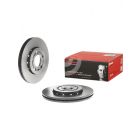 Brembo Disc Brake Rotor (Single) 256mm