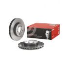 Brembo Disc Brake Rotor (Single) 300mm
