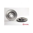Brembo Disc Brake Rotor (Single) 317mm