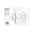 Brembo Disc Brake Rotor (Single) 296mm