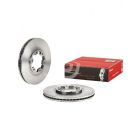Brembo Disc Brake Rotor (Single) 300mm