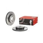 Brembo Disc Brake Rotor (Single) 255mm