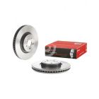 Brembo Disc Brake Rotor (Single) 316mm