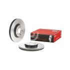 Brembo Disc Brake Rotor (Single) 320mm