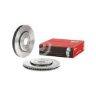 Brembo Disc Brake Rotor (Single) 320mm