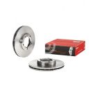 Brembo Disc Brake Rotor (Single) 257mm