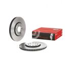Brembo Disc Brake Rotor (Single) 288mm