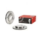 Brembo Disc Brake Rotor (Single) 257mm
