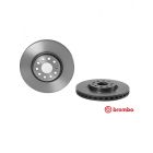 Brembo Disc Brake Rotor (Single) 314mm