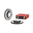 Brembo Disc Brake Rotor Right (Single) 315mm