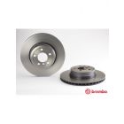 Brembo Disc Brake Rotor (Single) 345mm