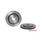 Brembo Disc Brake Rotor (Single) 365mm