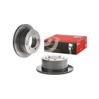Brembo Disc Brake Rotor (Single) 312mm