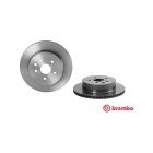 Brembo Disc Brake Rotor (Single) 310mm