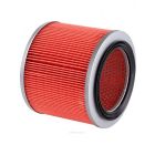 Ryco Air Filter