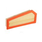 Ryco Air Filter
