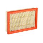 Ryco Air Filter