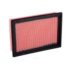 Ryco Air Filter