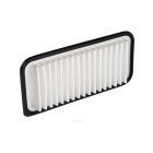 Ryco Air Filter