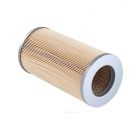 Ryco Air Filter