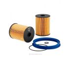 Ryco Fuel Filter