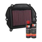 K&N Air Filter HA-2517 + Recharge Kit