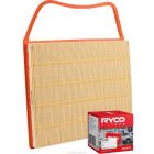Ryco Air Filter A1787 + Service Stickers