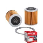 Ryco Fuel Filter R1106P + Service Stickers