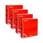 Brembo Rear Disc Brake Rotors + Brake Pads