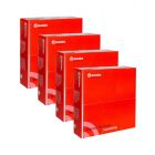 Brembo Rear Disc Brake Rotors + Brake Pads