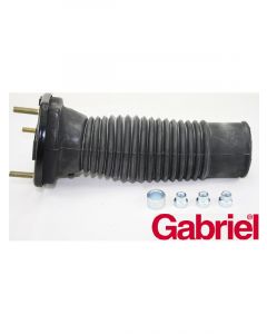 Gabriel Strut Mount