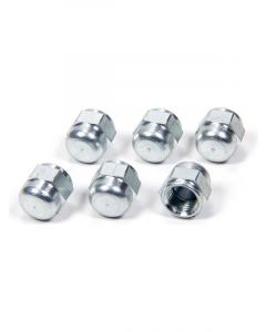 Aeroquip Fitting - Cap - 4 AN - Steel - Zinc Oxide - Set of 6