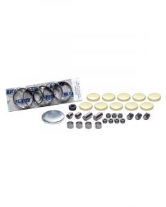 Dart Engine Block Hardware SHP Brass Freeze Plugs / Coated Camshaft