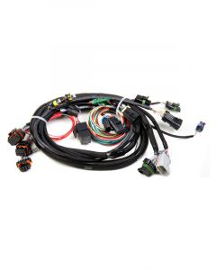 Holley Fuel Injection Wire Harness Multi-Port Avenger HP Dominator Spe