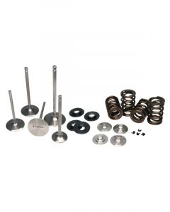 Ferrea For Nissan GT-R VR38DETT Dual Spring Kit